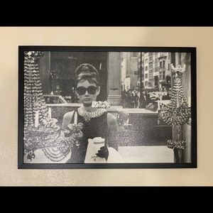 Picture is LARGE 38”- 26”